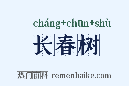 长春树是什么意思的图片